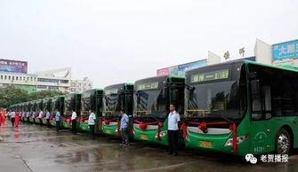 洛阳汽车站爆料事件最新,揭秘背后真相与争议 第2张 洛阳汽车站爆料事件最新,揭秘背后真相与争议 第2张